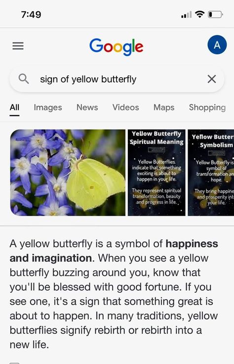 Yellow Butterfly Meaning, Butterfly Meaning, Flower Meanings, Image Map, Map Shop, Yellow Butterfly, Spiritual Meaning, Angel Numbers, Video Image