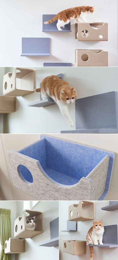 Cats are playful pets and they need space to stretch their paws. Modern pet parents have cat towers and a few shelves at home so that their beloved don’t get bored through the day. If that was not enough for your kitty somehow, a Japanese company Lixil has thought of a unique idea – to turn the entire wall for cats to play and rest. Japan Interior, Cat Wall Furniture, Pet Spaces, Cat Towers, Cat Playground, Cat Post, Shelving Design, Cat Shelves, Modern Pet