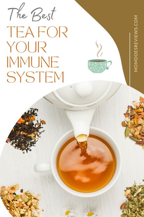 The Best Tea for Your Immune System - Mom Does Reviews Boosting Immune System Naturally, Immunity Tea, Herbal Tea Remedies, Ayurvedic Tea, Being High, Tulsi Tea, Herbal Tea Benefits, Tea Remedies, Lower Blood Sugar Naturally