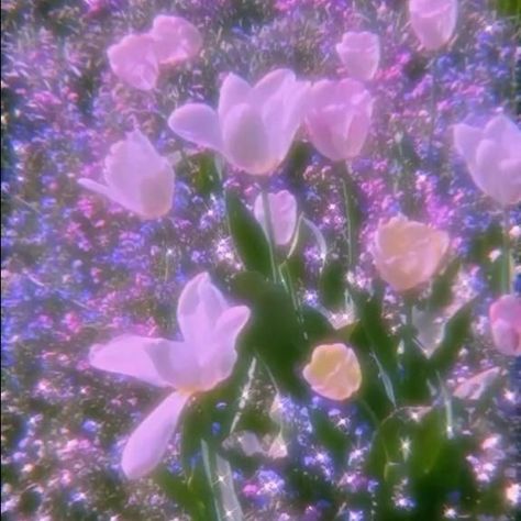 llyya12 Arte Glitter, Early 2000s Aesthetic, Roses Photography, Filmy Vintage, Jennie Jisoo, 2000s Aesthetic, Magic Aesthetic, Pastel Pink Aesthetic, Iphone Wallpaper Tumblr Aesthetic