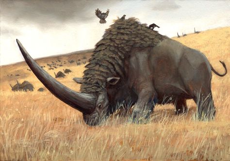 Elasmotherium sibiricum Long Horns, Prehistoric Wildlife, Prehistoric World, Ancient Animals, Paleo Art, Fantasy Beasts, Extinct Animals, Mythical Creature, Dinosaur Art