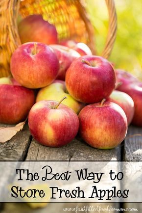 Preserve Apples, How To Store Apples, Picking Apples, Homesteading Ideas, Apple Season, Frugal Family, Filling Food, Fresh Apples, Granny Smith