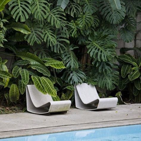 Poolside- A natural growing vertical garden including Monstera, heliconias and ctenanthe creates a tropical backdrop to this pool area. Great planting solution for a semi shaded position. Image via casavogue.globo.com #thesmallgarden #verticalwall #vertical garden #pool #landscape #landscapedesign #smallspace #smallspace Pool Plants, Pool Landscape Design, Small Backyard Gardens, Backyard Pool Landscaping, Small Pools, Fence Landscaping, Pallet Garden, Garden Pool, Pool Landscaping