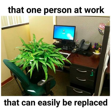 When you’re not really sure what that one co-worker does all day: | 28 Memes Everyone Who Works In An Office Will Get #work #workhumor #funny Funny Work Memes, Office Funny, Workplace Humor, Work Quotes Funny, Bored At Work, Funny Work, Work Jokes, Funny Quotes For Teens, Office Humor