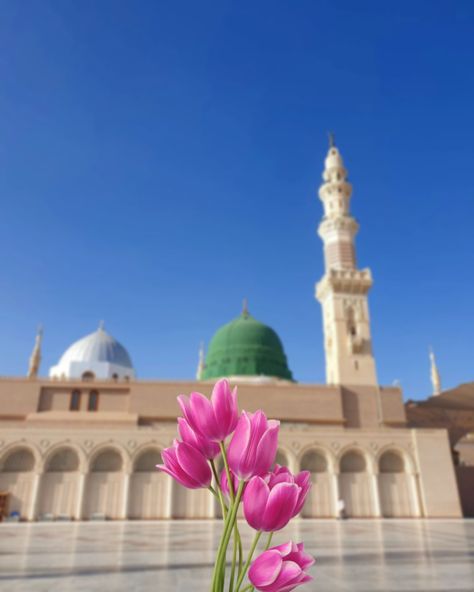 Madina Shareef
Madina hd image
Madina Shareef hd picture
Islamic hd picture
Gumbad e Khazra Gumbad E Khazra, Madina Shareef, Green Dome, Hd Picture, Green