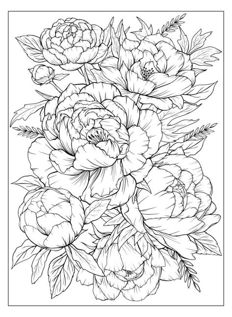 Flower Colouring, Peony Drawing, White Page, Colouring Page, Flower Art Drawing, Flower Sketches, Floral Drawing, Leaves Vector, 수채화 그림