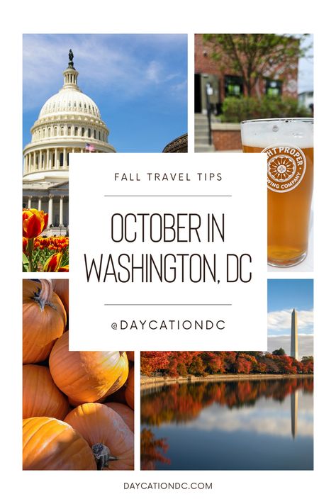 Plan a visit to Washington, DC in October for beer festivals, pumpkin patches, cooler weather, and more. Plus, get a taste of fall at local coffee shops and popular restaurants during your trip. 🎃 #WashingtonDC Washington Dc Fall Trip, Washington Dc October, Washington Dc Things To Do In Fall, Dc Outfits Washington Winter, Day Trip Outfit, Fall Packing List, Weekend Packing List, Washington Dc Restaurants, October Events