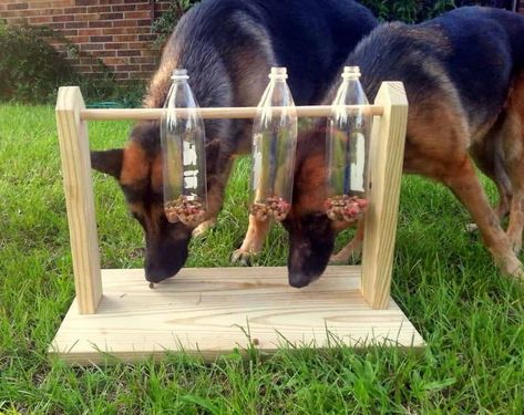 13 Boredom Busters to Keep Your Dog Entertained in the Yard | PawLeaks Dog Boredom Buster, Dog Boredom, Dog Treat Dispenser, Homemade Dog Toys, Dog Puzzle Toys, Diy Dog Toys, Dog Enrichment, Dog Games, Dog Puzzles