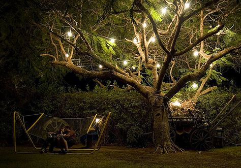 Magical Tree Backyard Hammock, Magical Tree, Romantic Evening, Tree Lighting, Two People, Garden Lighting, Fairy Lights, A Tree, Secret Garden