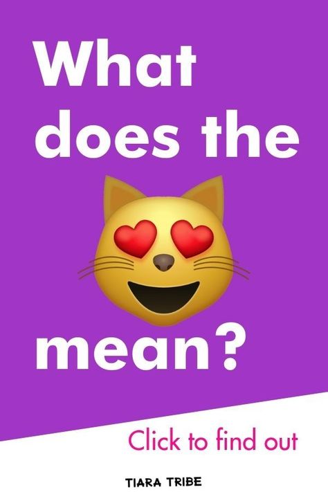 What does the cat with heart eyes emoji mean? Find out! #catemojihearteyes #tiaratribe Cat With Heart Eyes, Emojis Meanings, Heart Eyes Emoji, Cat With Heart, Online Business Plan, Laughing Face, Cat Emoji, Face Home, Cat Jokes