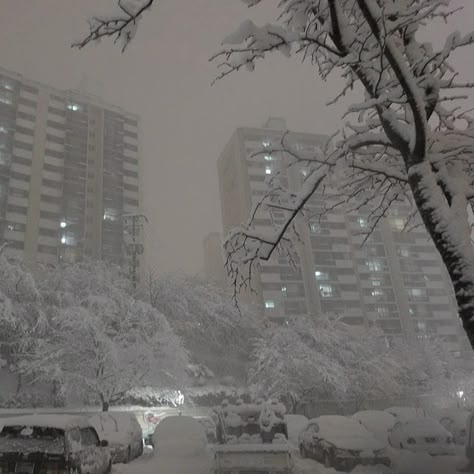 Wallpaper Buildings, Lights Aesthetic, Wallpaper Winter, Tall Buildings, Art Ancien, I Love Winter, Lit Wallpaper, Street Lights, Winter Wallpaper