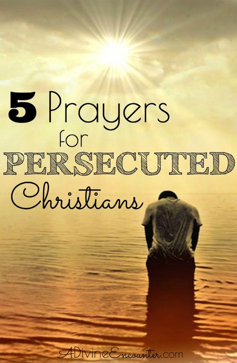 Thought-provoking post discusses why believers should be praying for persecuted Christians, and offers 5 biblical prayers for the persecuted. Biblical Prayers, Persecuted Church, Prayers For Strength, God Christian, About God, Prayers For Healing, Prayer Warrior, Prayer Book, Spiritual Warfare