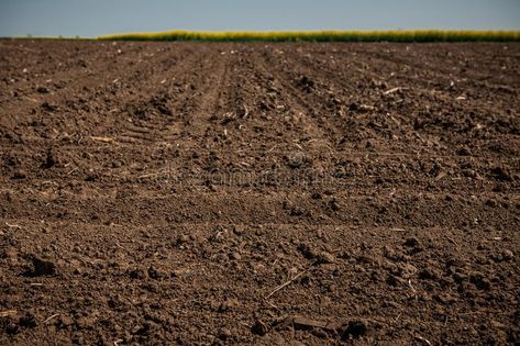 Dirt Aesthetic, Rocks Background, Country Dirt Road, Dirt Texture, Road Texture, Gross Things, Rock Background, Crop Farming, Crop Field