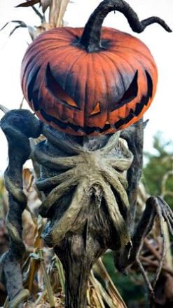 Pumpkin Creature, Scary Pumpkins, Scarecrow Pumpkin, Horror Pumpkin, Doflamingo Wallpaper, Dekorasi Halloween, Pumpkin Scarecrow, Halloween Creatures, Halloween Outside