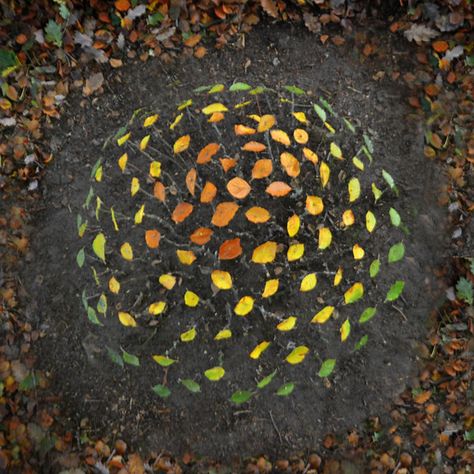 Inland - Jon Foreman Jon Foreman, Andy Goldsworthy, Create Words, Land Art, Natural Material, Print Gifts, Natural Materials, Nature Art, Photo Printing