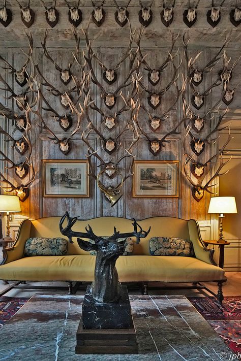 Château de la Celle les Bordes English Hunting Lodge Decor, Trophy Rooms Hunting, Hunting Room Design, Hunting Lodge Interiors, Hunting Lodge Decor, Taxidermy Decor, Deer Heads, Antlers Decor, Antler Wall