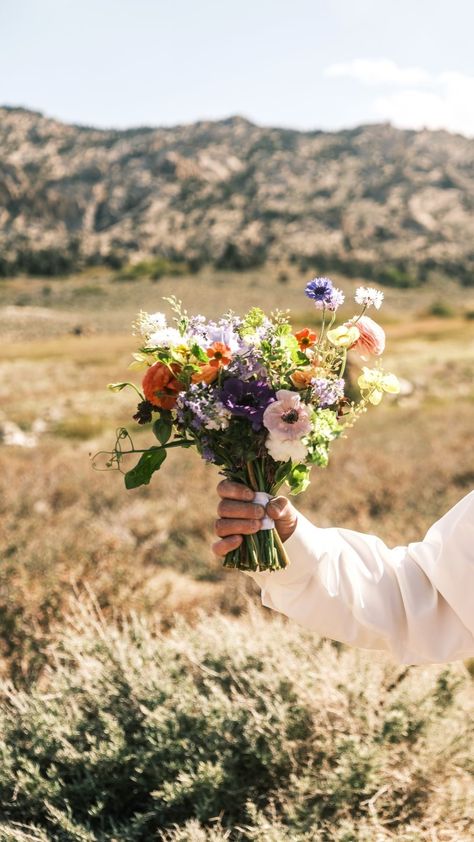 Bishop California, Spring Bridal Bouquet, Convict Lake, Bridal Bouquet Spring, June Lake, Sierra Mountains, California Wildflowers, Loving Couples, Alpine Flowers