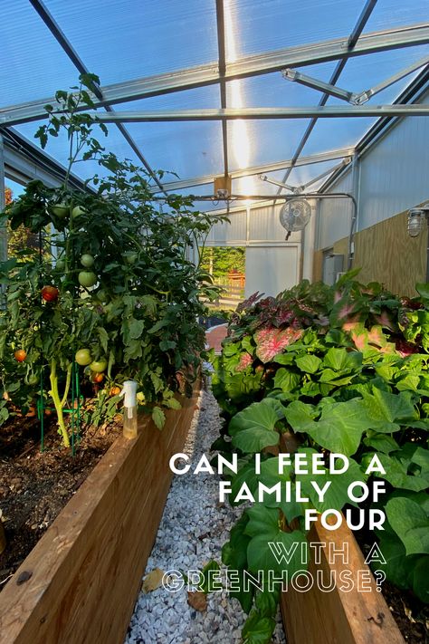 Yes. The more difficult question lies in the specifics. How big does my greenhouse need to be? What do I plant? What growing method do I use? How do I design the space? What kind of greenhouse will I need? These are the questions you need to consider if you and your family are trying to be more self-sufficient. So let’s address each one. Greenhouse Container Gardening, Green House Veggie Garden, Greenhouse Veggie Garden, Greenhouse 101, Greenhouse Planting Layout, Greenhouse Tips, Planting Layout, Gardening Hobby, Starter Garden