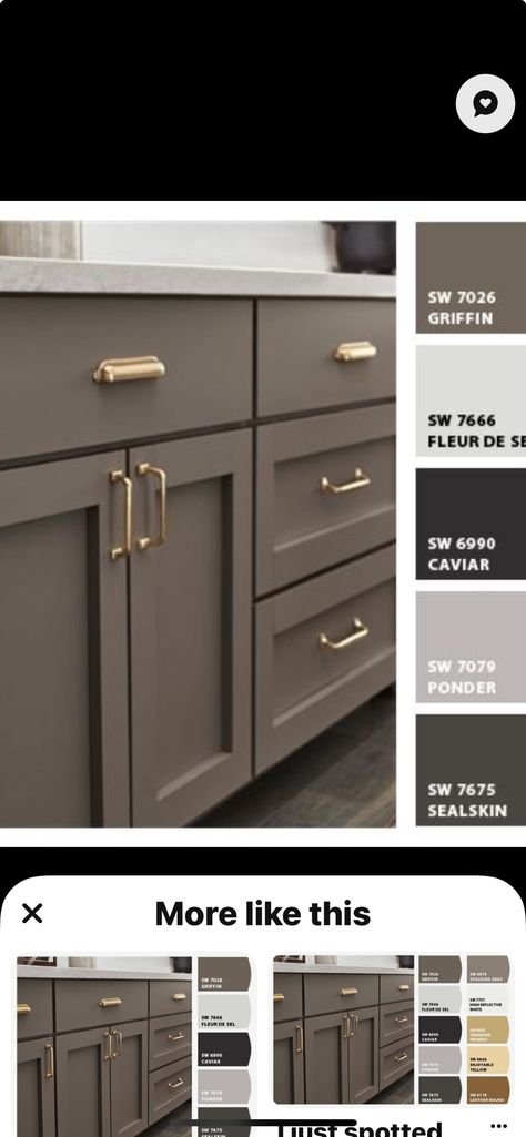 Sw Griffin Cabinets, Sw Griffin, Griffin Sherwin Williams Cabinets, Cabinet Door Makeover, Bathroom Cabinet Colors, House Updates, Bathroom Top, Air Fry, Home Upgrades