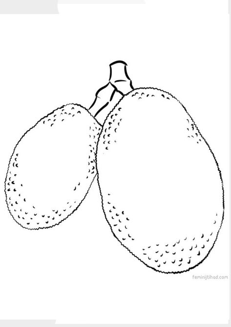 Jackfruit Coloring Pages for Kids Jackfruit Drawing, Fruit Coloring Pages, Coloring Images, Green Skin, Green Theme, Indian Art Paintings, Coloring Pages To Print, White Picture, Sweet Taste