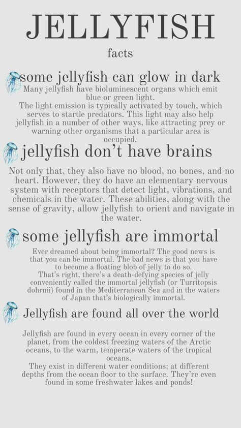 Jellyfish facts https://www.bristolaquarium.co.uk/education/10-amazing-jellyfish-facts-for-kids/ #jellyfish #facts #animals #poster #posters Ocean Creatures Art, Ocean Art Projects, Oceanography Marine Biology, Jellyfish Facts, Jellyfish Pictures, Shark Facts, Animals Poster, Sea Jellies, Princess Jellyfish