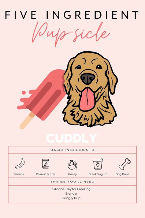 Healthy Dog Treats Homemade, Puppy Mom, Dog Fun, Dog Days Of Summer, Dog Treats Homemade Recipes, Dog Business, Dog Enrichment, Puppy Treats, Dog Ideas