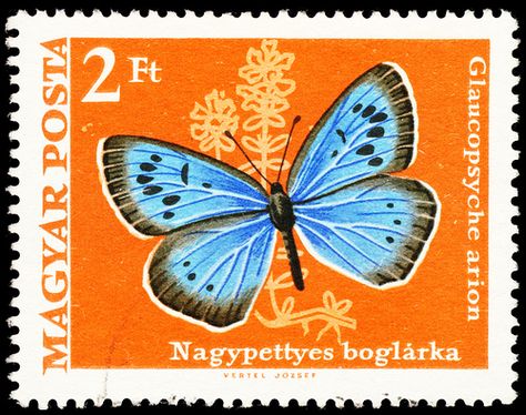 Blue butterfly stamp hungary 1969 thymianheiden-bläuling glaucopsyche arion - via Bernd Kirschner on Flickr https://flic.kr/p/76QpNY | Vintage Stamps Postage, Bridge Tally Cards, Commemorative Stamps, Butterfly Stamp, Laptop Backgrounds, Postage Stamp Art, Cute Letters, Vintage Postage Stamps, Letter Stamps