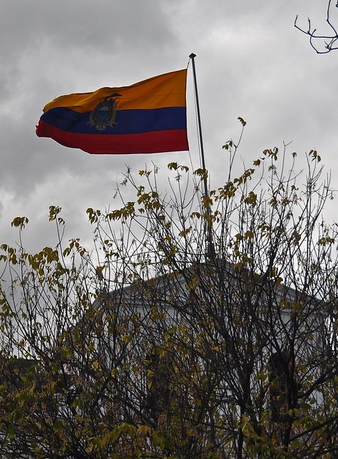 The flag of Ecuador. Flag Of Ecuador, Ecuador Flag, Ecuador Travel, Quito Ecuador, Quito, The Flag, Travel Adventure, Ecuador, South America