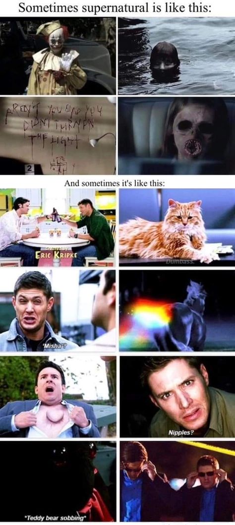 Comment Ideas, Funny Supernatural, Spn Memes, Supernatural Pictures, Supernatural Tv Show, Supernatural Destiel, Supernatural Memes, Supernatural Dean, Supernatural Fans