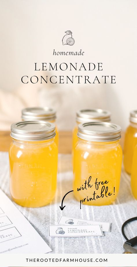 If you love fresh lemonade on a hot summer day, this recipe is for you! This delicious homemade lemonade concentrate is made from two simple ingredients, lemon juice, and sugar! Lemonaid Recipe, Homemade Lemonade Concentrate, Lemonade Concentrate Recipe, Lemonade Simple Syrup, Fresh Lemon Recipes, Fresh Lemonade Recipe, Lemon Juice Recipes, Diy Lemonade, Homemade Lemonade Recipes