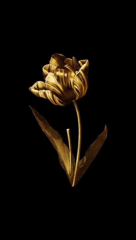 Black Gold Aesthetic, Tulip Photography, Black And Gold Aesthetic, Iphone Wallpaper Iphone, Wallpaper Iphone Aesthetic, Gold Wallpaper Iphone, Ebook Design, Beauty Logo Design, Samsung Galaxy Wallpaper