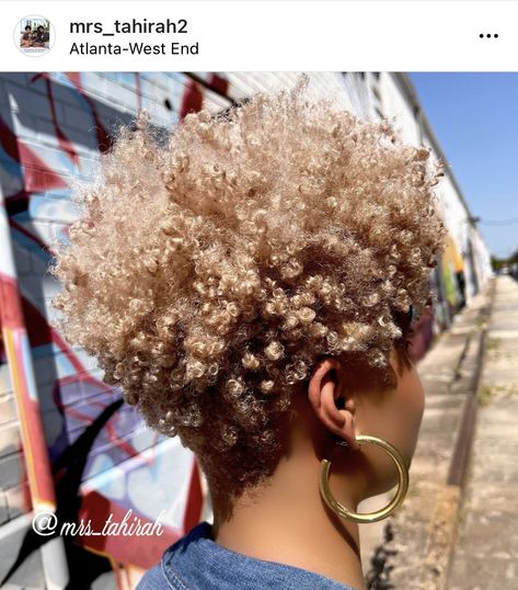 Women’s Tapered Haircut, Short Blonde Natural Hair Black Women, Dyed Short Natural Hair, Fro Hawk, Kym Whitley, Grey Hair Journey, Natural Hair Haircuts, Blonde Natural Hair, Amber Hair