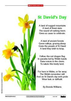 St. David's Day by Brenda Williams Welsh Crafts, Welsh Sayings, Welsh Culture, St Davids Day, Nautical Theme Baby Shower, Welsh Heritage, Theme Baby Shower Ideas, Welsh Ancestry, St David