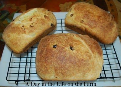 Bacci Bread using my husband's grandmother's recipe. Bacci Rolls Recipe, Bread Sweet, Life On The Farm, Brunch Bread, Cooking Bread, Bread Baker, Flatbread Recipes, Peace And Quiet, Just Bake