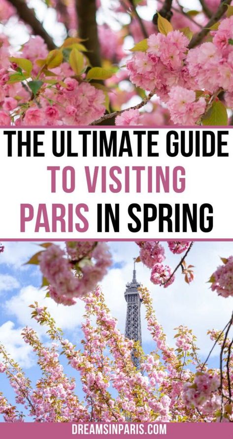 Spring Outfit In Europe, Springtime In Paris Outfits, Paris Ootd Spring, France In May Outfits, Photoshoot In Paris Outfit, Outfit For Paris Spring, April Europe Outfit, Paris Vacation Outfit Spring, Spring Outfits In Paris