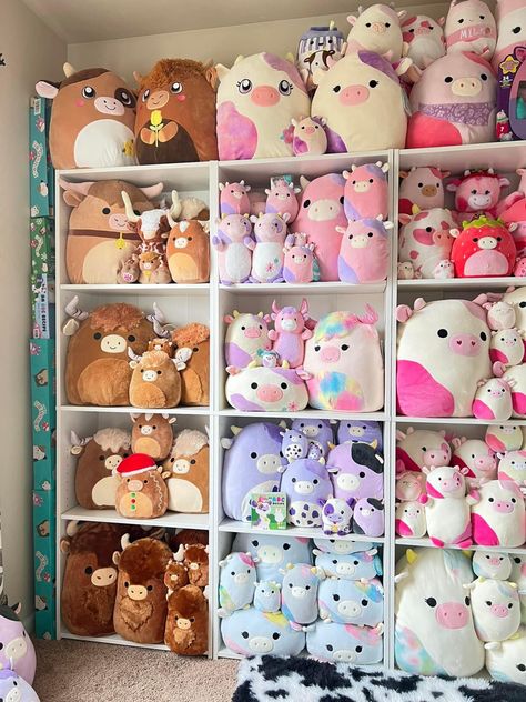 Squishmallows Shelves, Large Squishmallow Storage, Squishmallow Bookshelf, Squishmallow Collection Display, Squishmallow Organization Ideas, Squishmallows Organization, Aesthetic Squishmellows, Squishmallow Shelf, Stuffed Animal Display Ideas