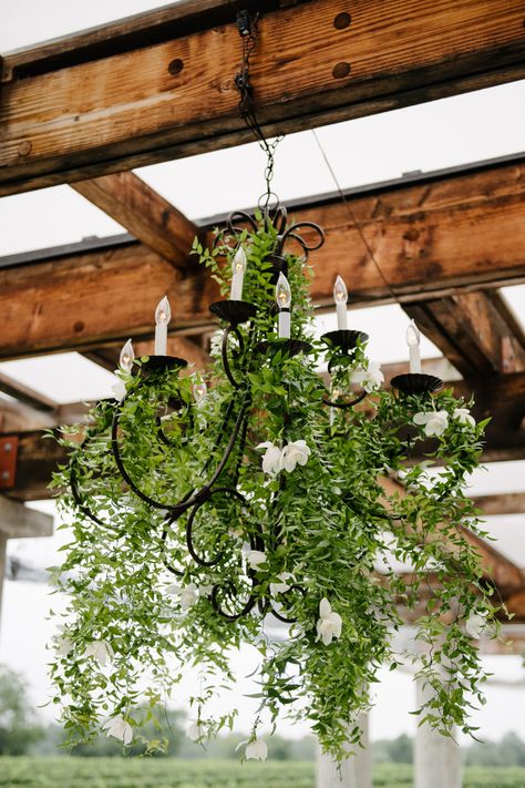 Hamptons Party, Alfresco Wedding, Wedding Reception Flowers, Outdoor Chandelier, Elegant Dinner Party, Diy Plant Hanger, World Decor, Reception Flowers, Have Inspiration