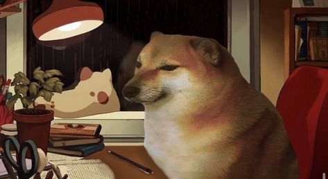 Cursed Laptop Wallpaper, Funny Pc Wallpaper 1920x1080 Full Hd, Funny Dog Wallpaper Laptop, Silly Wallpaper Laptop, Dog Computer Wallpaper, Funny Pc Wallpaper, Funny Laptop Wallpaper, Funny Wallpapers For Laptop, Funny Computer Backgrounds