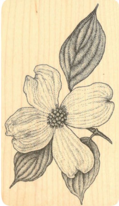 Dogwood Tattoo, Dogwood Flower Tattoos, Dogwood Blooms, Dogwood Blossoms, Sketch Tattoo Design, Dogwood Trees, Simple Line Drawings, Dogwood Flowers, Impression Obsession