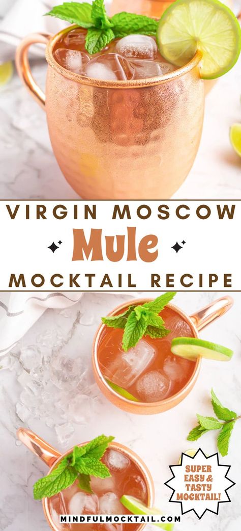 Virgin Moscow Mule, Ginger Beer Drinks, Summer Mocktail Recipes, Easy Mocktails, Ginger Beer Cocktail, Easy Mocktail Recipes, Mocktail Drinks, Mule Recipe, Alcohol Free Drinks