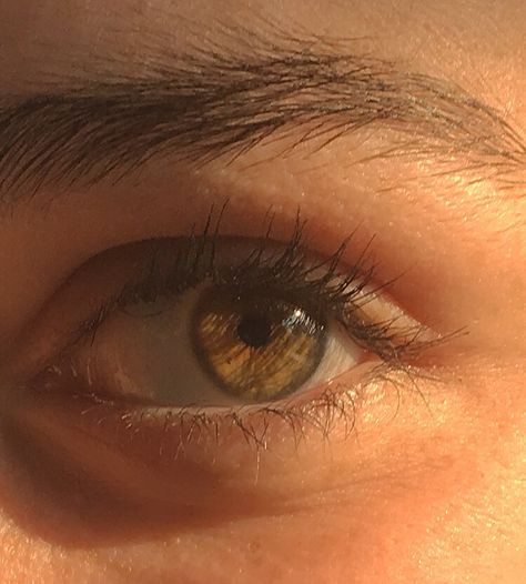 Hazel Eyes Aesthetic, Eyes Aesthetics, Eyes Aesthetic, Hazel Eyes, Brown Eyes, Close Up, Amber, I Hope