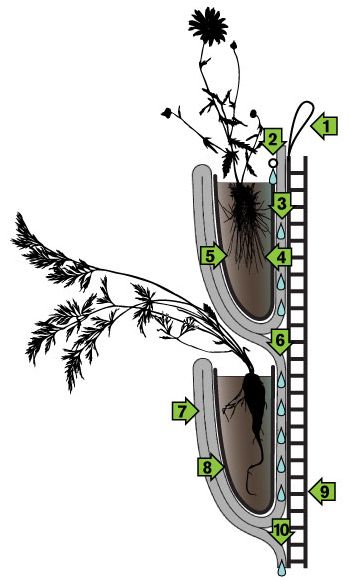 Vertical Garden Building, Hanging Garden Architecture, Vertical Garden Illustration, Vertical Garden Building Architecture, Vertical Garden Wall Orchid, Vertical Green Wall, Vertical Planting, Walled Garden, Vertical Garden Wall