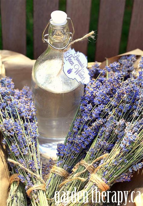 diy Lavender Linen Water Recipe - to fragrance while ironing clothing/linens.  Passed down recipe in comments looks even better than the one in the article. Lavender Linen, Garden Therapy, Lavender Spray, Diy Laundry, Lovely Lavender, Diy Household, Lavender Fields, Lavender Scent, Witch Hazel