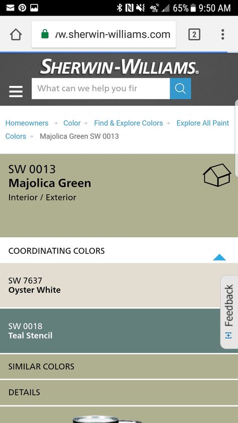 Sw 0013 Majolica Green, Quetzal Green Pantone, Marin Aloe Green Tile, Majolica Green Bedroom, Majolica Green, Green Interiors, Coordinating Colors, Color Pallets, Paint Colors