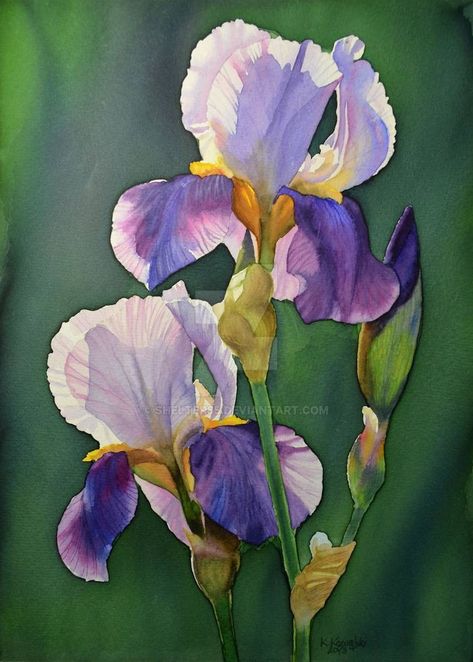 Iris Art, Iris Painting, Painting Demo, 수채화 그림, Purple Iris, Watercolor Artists, Watercolor Flowers Paintings, Contemporary Abstract Art, Purple And Yellow