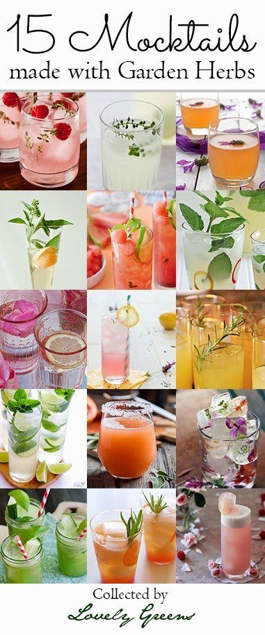 15 Mocktail Recipes made with Garden Herbs | Straight from the garden, this collection of delicious and refreshing drinks are alcohol-free alternatives to their boozier cousins #mocktail Alcohol Free Drinks, Mocktail Recipes, Garden Herbs, Mocktail Recipe, Non Alcoholic Drinks, Party Drinks, Refreshing Drinks, Cocktail Drinks, Mocktails