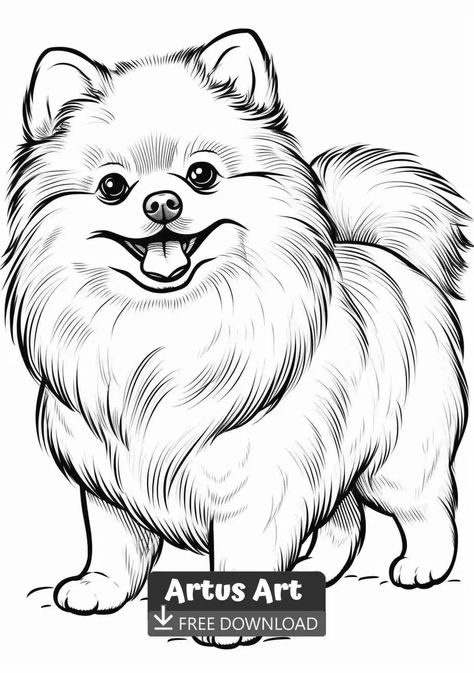 Pomeranian Coloring Page For Kids - Free PDF Download Coloring Page. #pomeraniancoloringpage #pomeraniancoloringpageforkids #pomeranian Pomeranian Coloring Pages, Pomeranian Drawing Simple, Pomeranian Drawing, Pomeranian Art, Pomeranian Colors, Tatoo Dog, Kids Printable Coloring Pages, Cute Dog Drawing, Puppy Coloring Pages