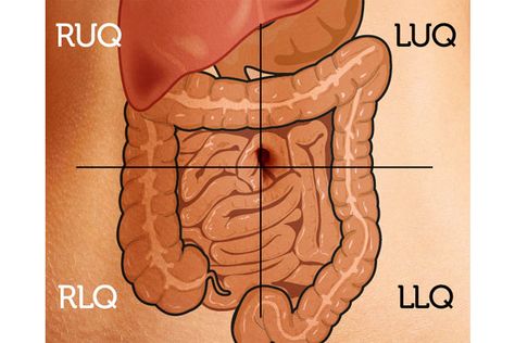 Quadrants Of The Abdomen, Nursing 101, Med Surg, Nursing Study, Nursing Education, Study Tools, Personal Portfolio, Human Condition, I Survived