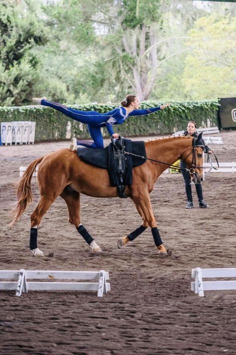 Equestrian Vaulting, Vaulting Equestrian, Horse Vaulting, Theatre Life, Vaulting, Horseback Riding, Gymnastics, Work Hard, Equestrian