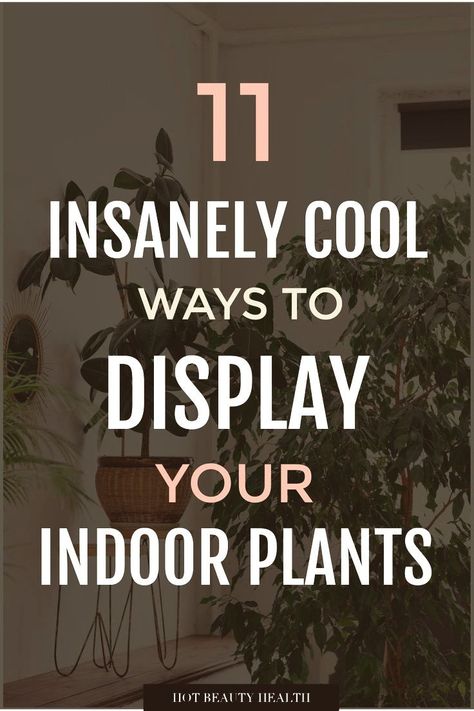 I love these plant decor ideas for the home. I'm such a plant mom and been wanting to add more plants to my space. Thanks for the inspiration! Indoor Plants Decor Living Room, Safe House Plants, Home With Plants, Plant Decor Ideas, Natural Facelift, Plant Display Ideas, Living Room Plants, Inside Plants, Classy Decor